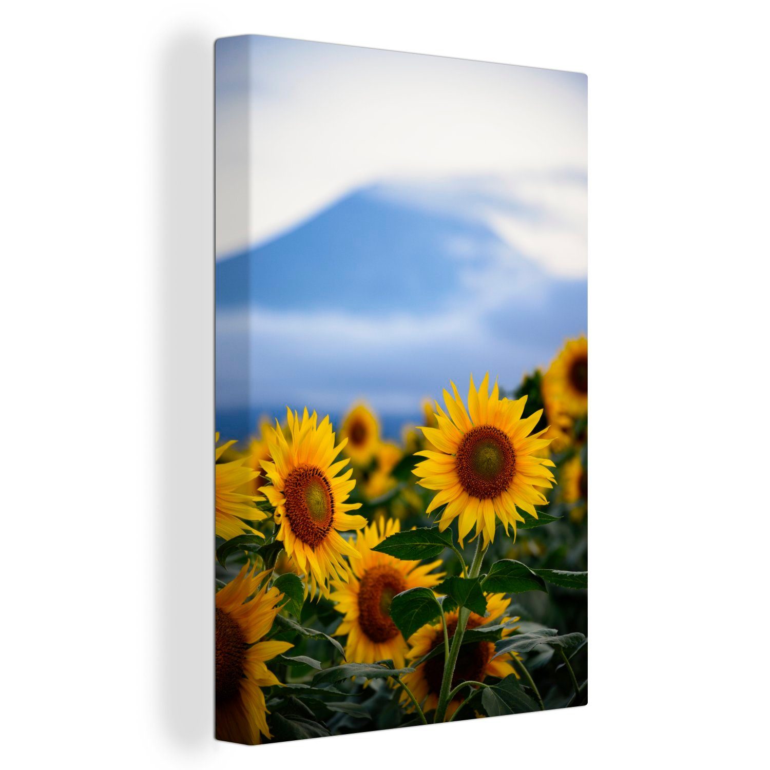 OneMillionCanvasses® Leinwandbild Sonnenblume - Saatgut - Berg, (1 St), Leinwandbild fertig bespannt inkl. Zackenaufhänger, Gemälde, 20x30 cm