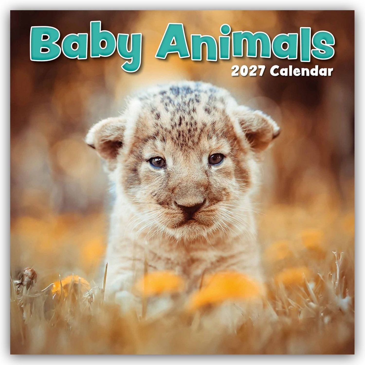 Wandkalender Baby Animals – Tierkinder 2027 – 16-Monatskalender