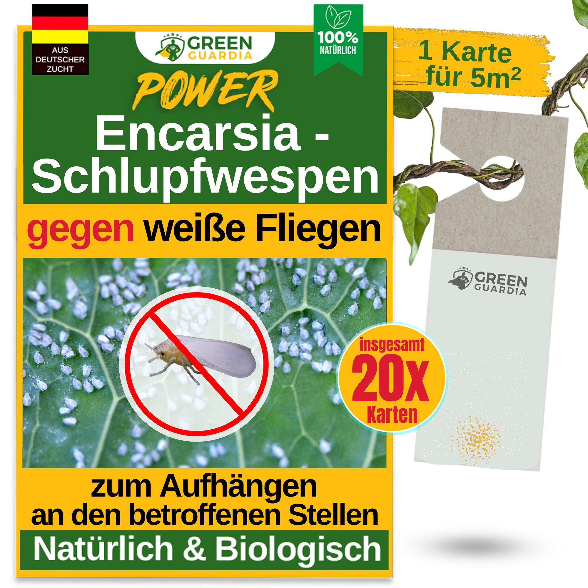 Insektenvernichter Encarsia Schlupfwespen gegen weiße Fliegen - ohne Chemie