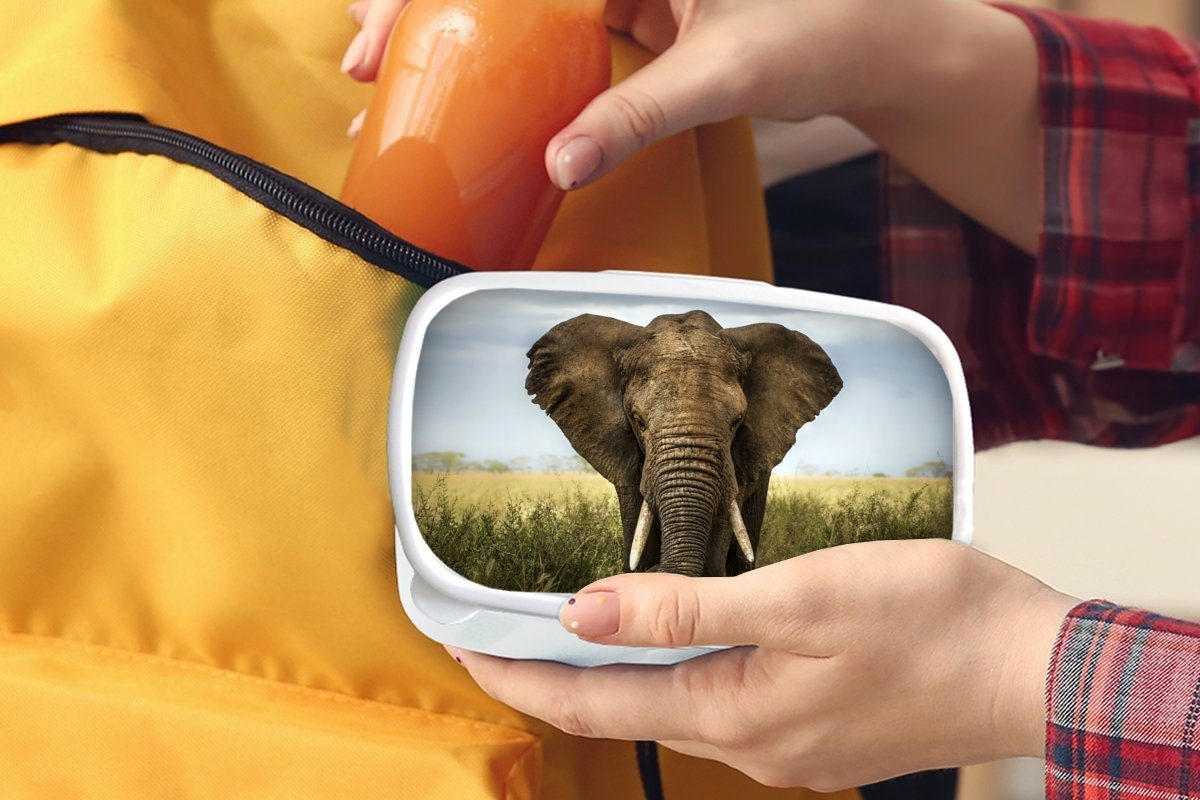 MuchoWow Lunchbox Elefant - Tiere und für Brotbox - und Jungs für (2-tlg), weiß Erwachsene, Mädchen Brotdose, Kinder Gras, Kunststoff