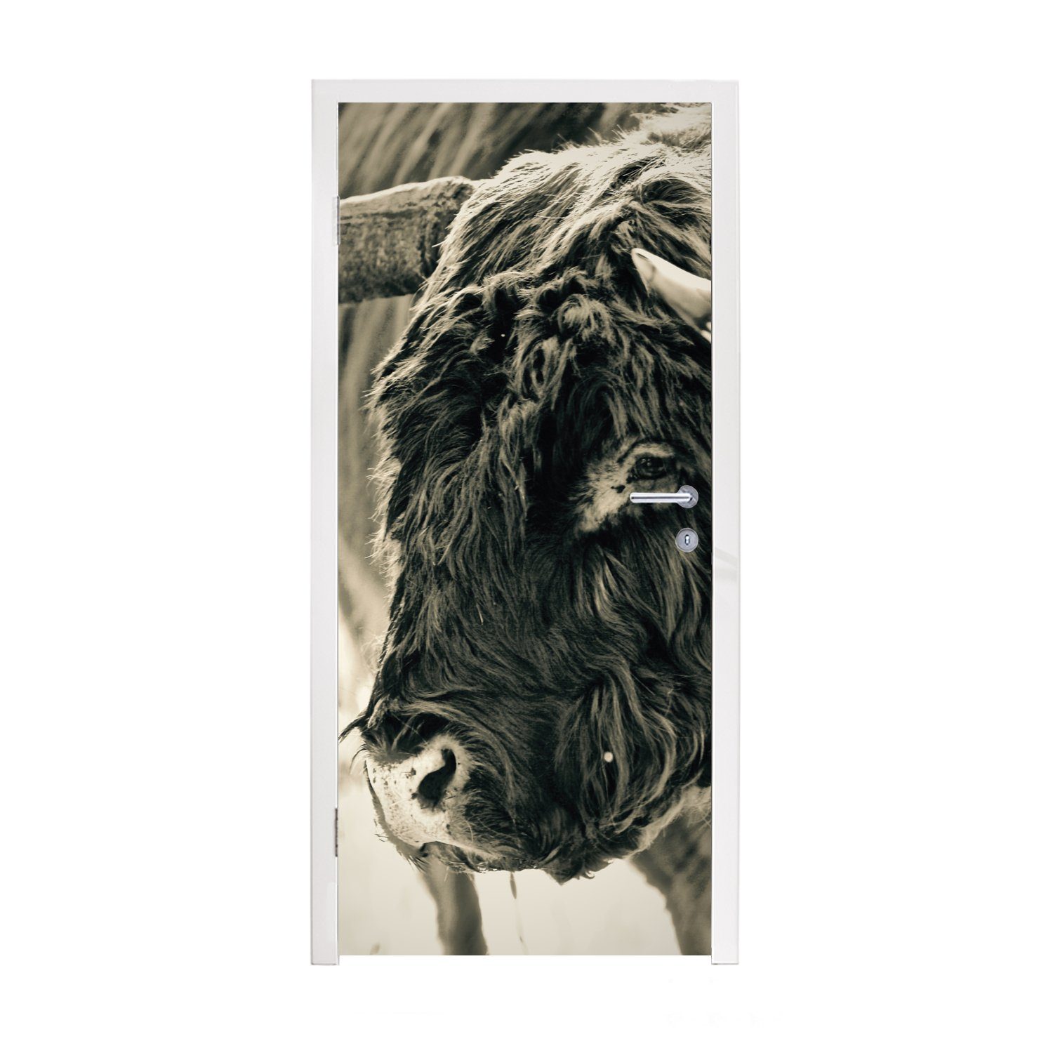 MuchoWow Türtapete Schottischer Highlander - Schnee - Hörner, Matt, bedruckt, (1 St), Fototapete für Tür, Türaufkleber, 75x205 cm