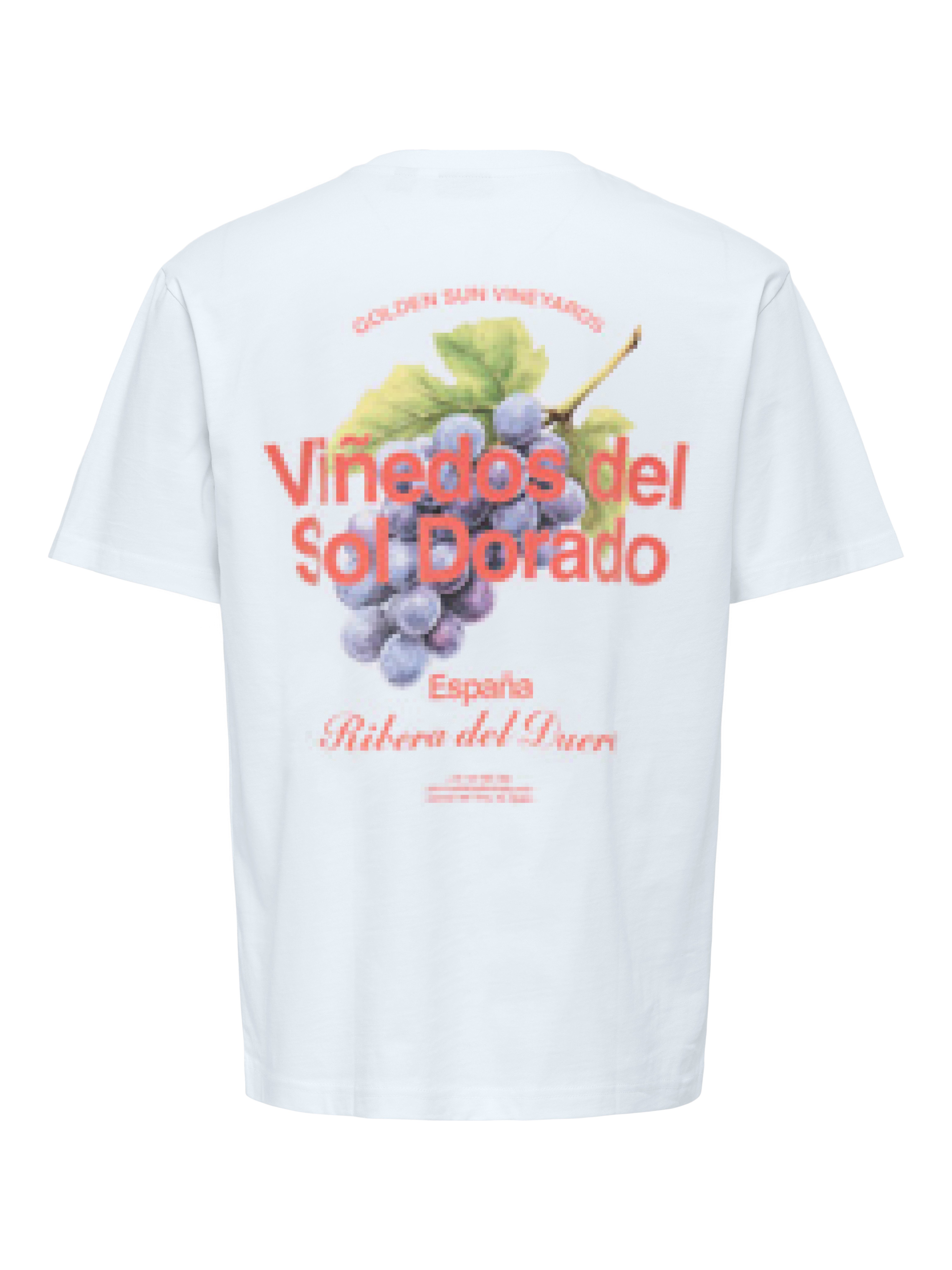 ONLY & SONS T-Shirt ONSFRED LIFE RLX SS PRINT TEE NOOS Baumwolle, relaxed f günstig online kaufen