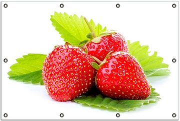 Wallario Sichtschutzzaunmatten Frische rote Erdbeeren für die Küche
