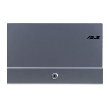 Asus 33,78 cm Profess. MQ13AH Mobile-Monitor USB HDMI TFT-Monitor (1920 x 1080 px, Full HD, 1 ms Reaktionszeit, 60 Hz, OLED, HDCP, HDR)