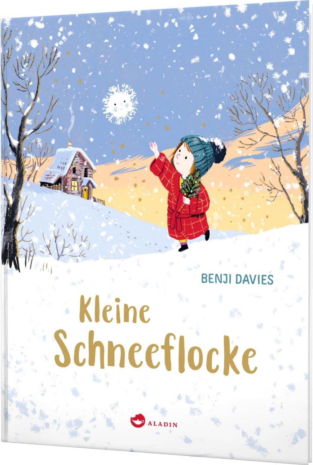 Kleine Schneeflocke / diverse
