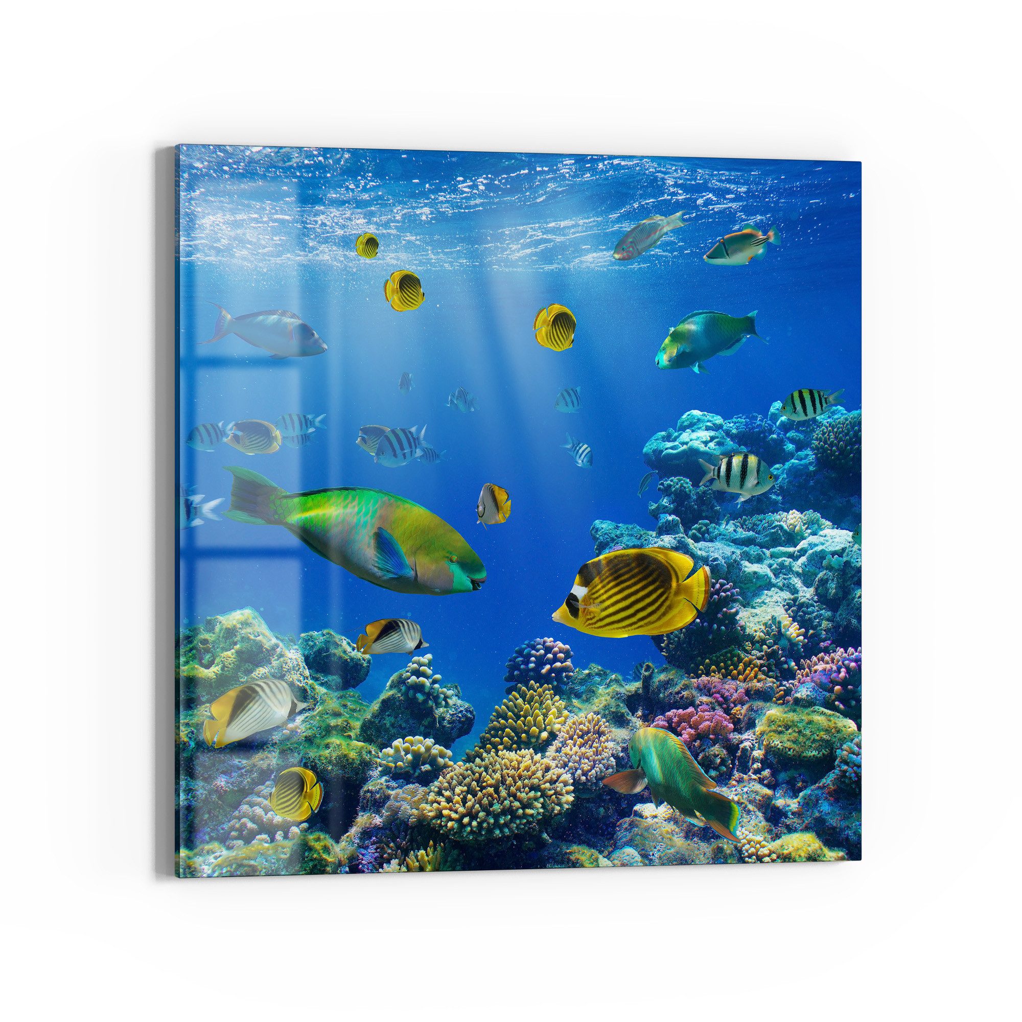 Magnettafel 'Unterwasserwelten'