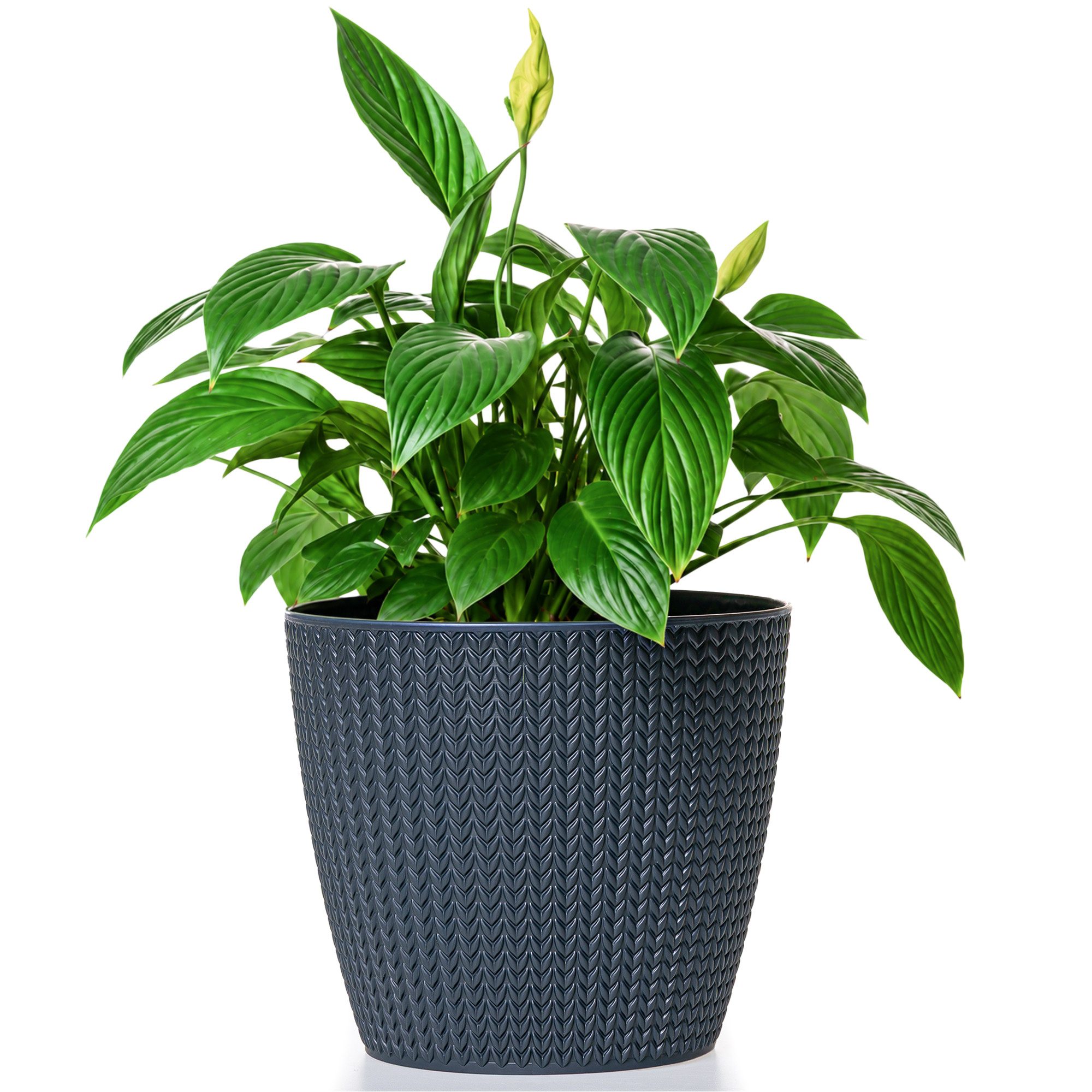 KONZEPT Blumentopf aus Kunststoff, in Grasgeflecht-Optik, Ø 22 cm, Indoor, Outdoor, UV-& wetterbeständig, 5,4L