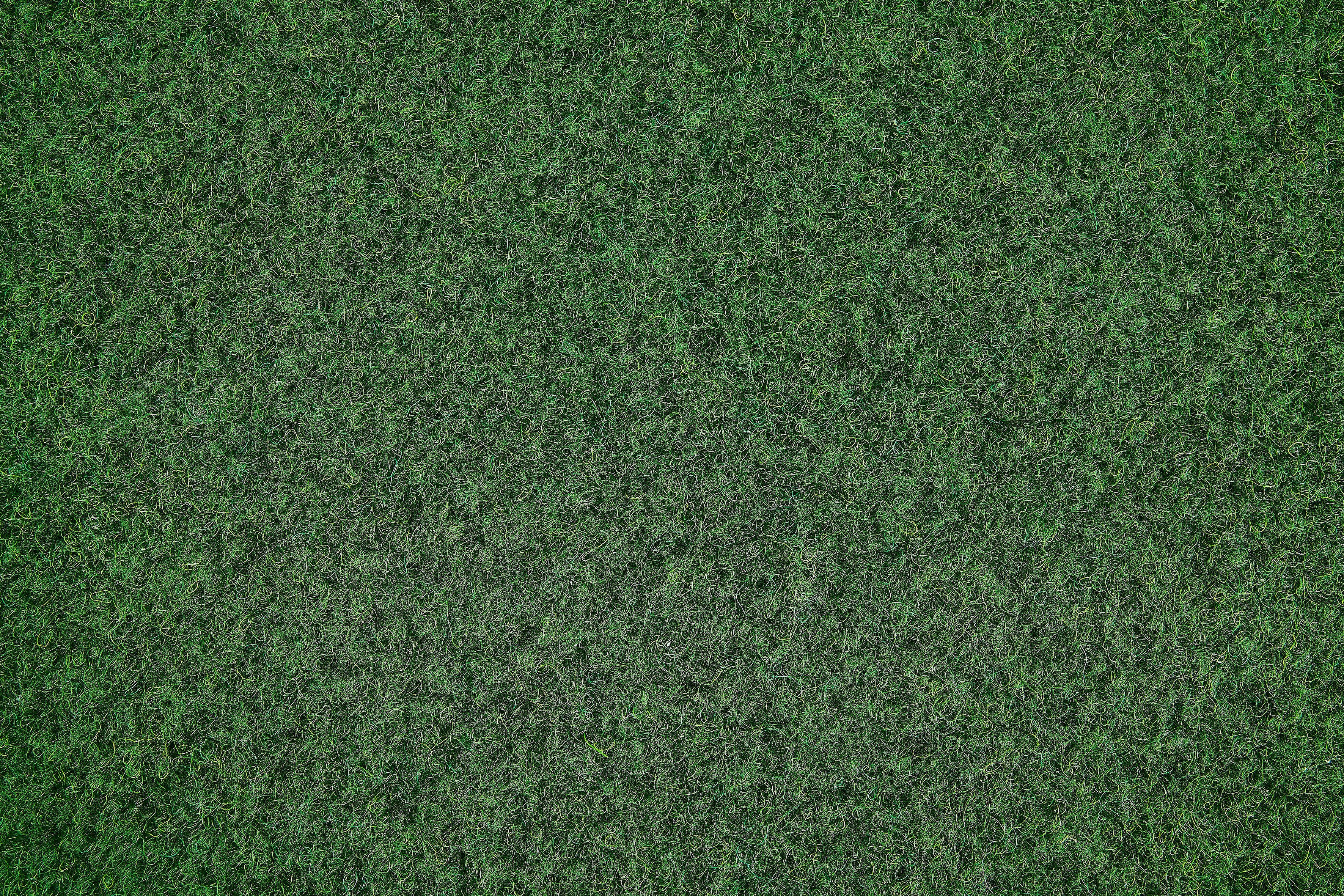 Kunstrasen Florida, Andiamo, wasserfest 10 & UV-beständig Höhe: strapazierfähig, mit mm, Nadelfilz, Noppen, aus rechteckig, grün