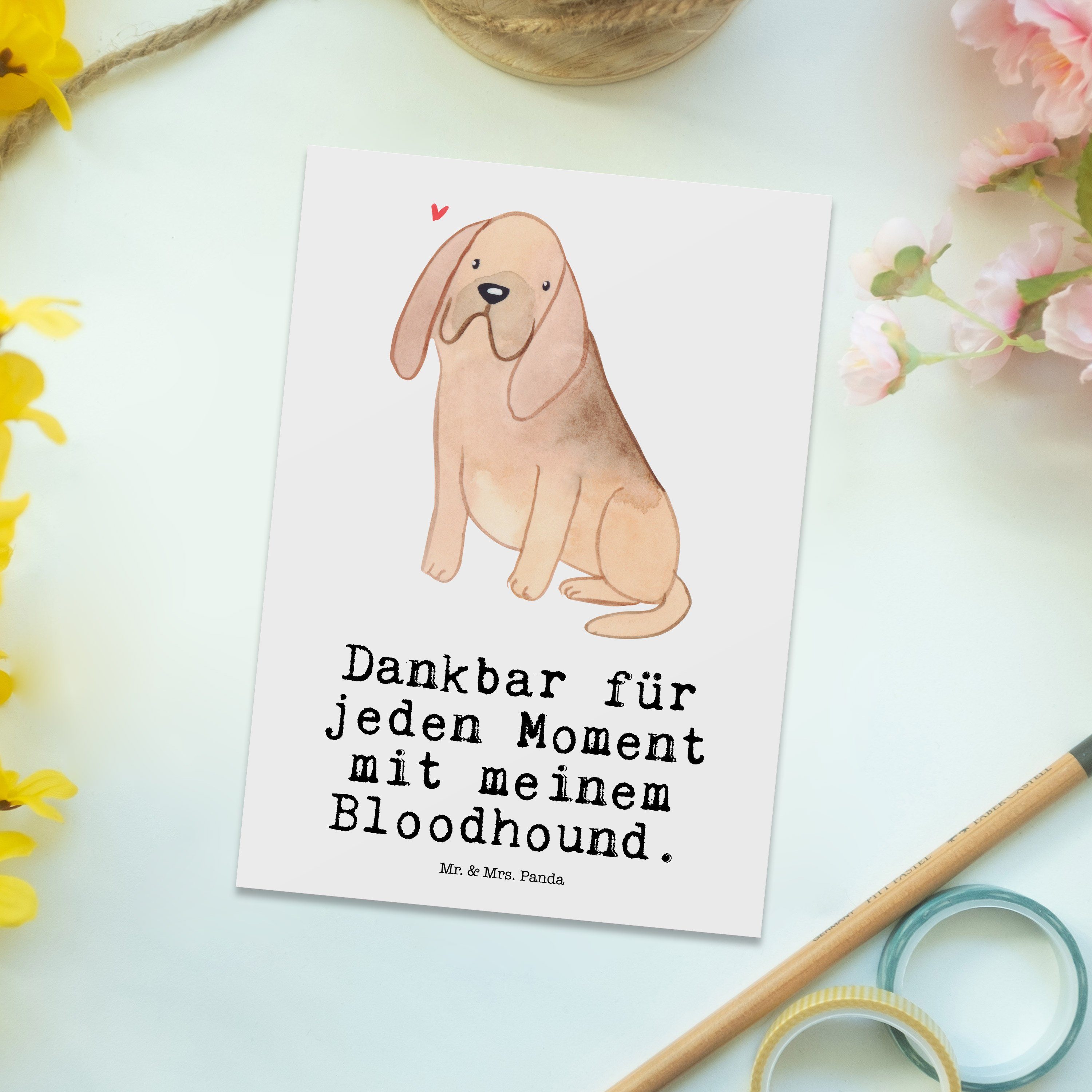 Panda - Mrs. Geschenk, Einladungskarte, Postkarte & Weiß Tierf Bluthund, Bloodhound Mr. - Moment