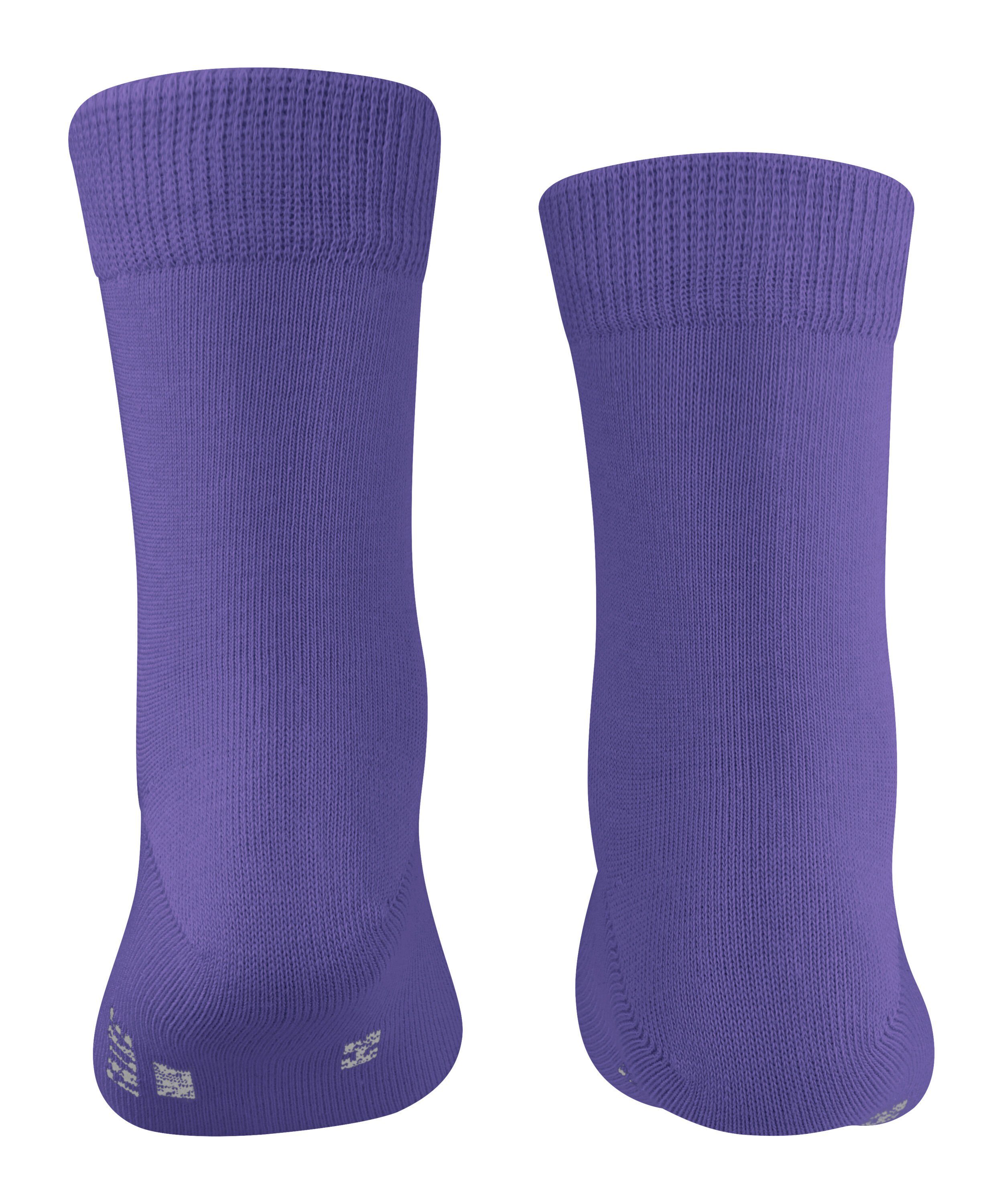 FALKE Socken (6970) Family hyacinth (1-Paar)