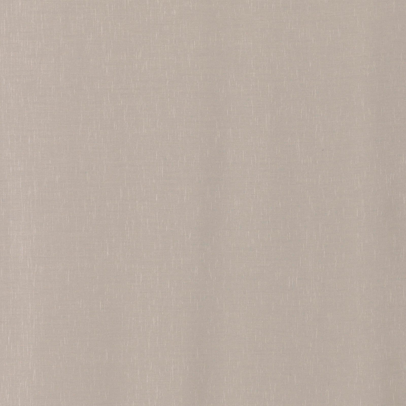 heimtexland Schiebegardine Batist Optik Natur Flächenvorhang Gardine Typ410 (1 St), Paneelwagen, transparent, Polyester in Batist-Optik, transparent, mit Zubehör, Schiebevorhang, HxB 245x60 cm