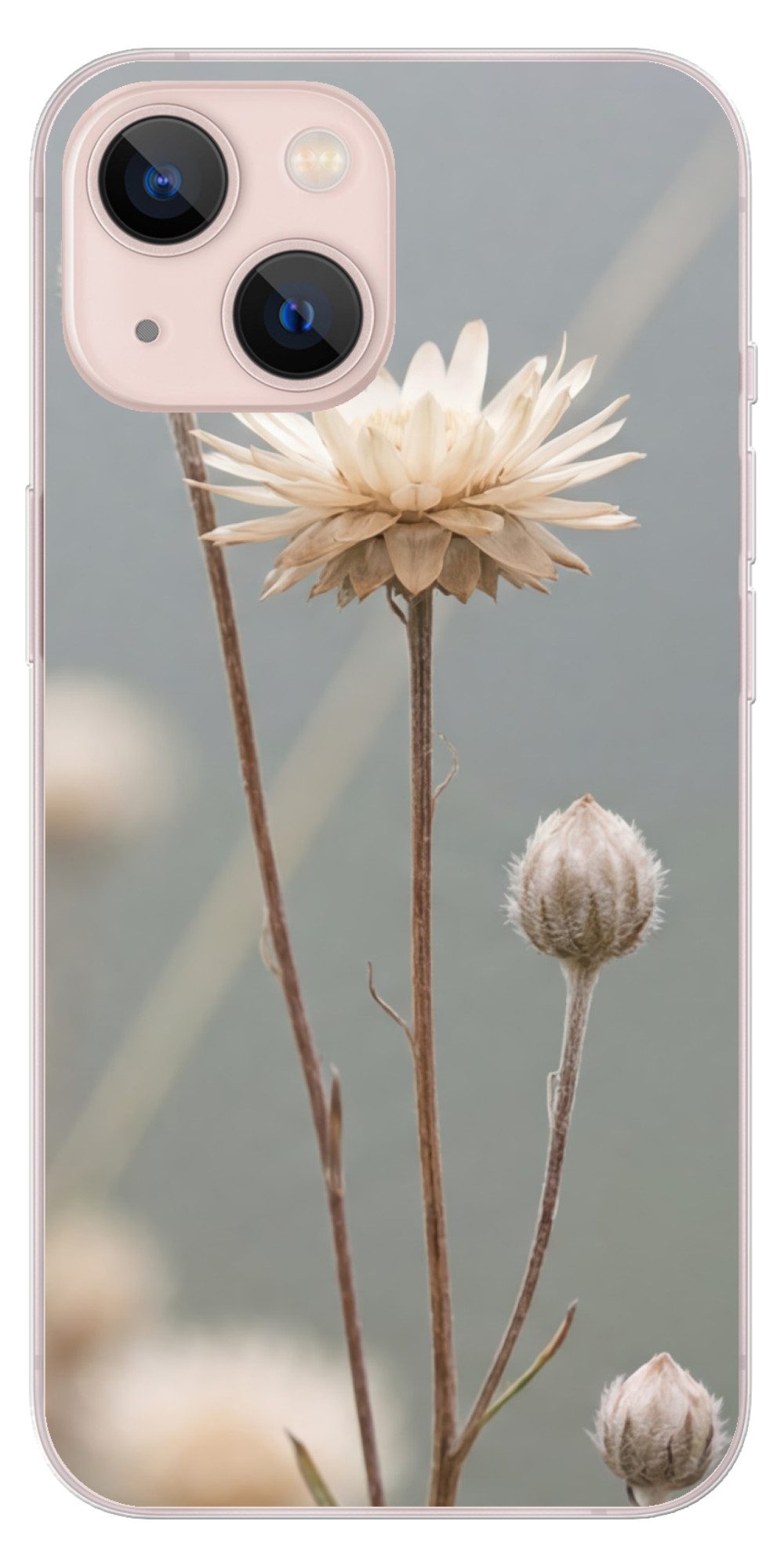 MuchoWow Handyhülle für Apple iPhone 13 Strohblumen - Weiß - Tageslicht, Smartphone-Bumper, Print, Handy Schutzhülle Dünn