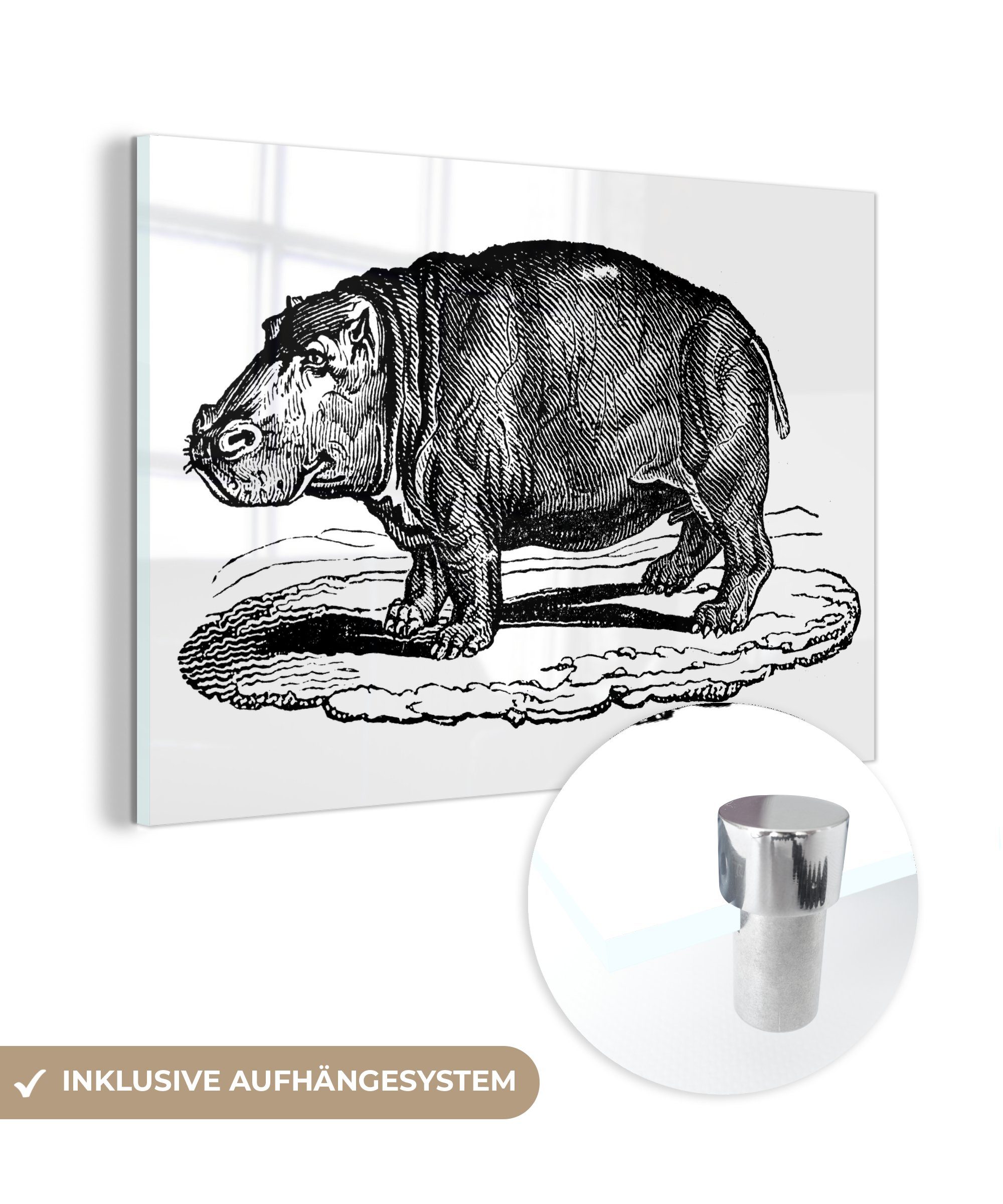 MuchoWow Acrylglasbild Illustration eines laufenden Nilpferds, (1 St), Acrylglasbilder Wohnzimmer & Schlafzimmer