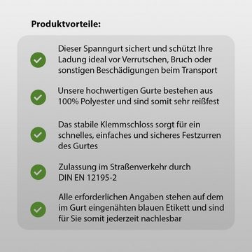 TRUTZHOLM Spanngurt 4x Profi Spanngurt mit Klemmschloss 1-tlg 2,5m 250 kg Traglast Anthraz (Set)