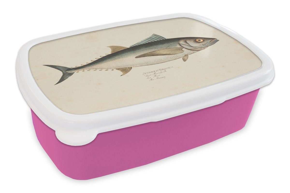MuchoWow Lunchbox Eine alte Illustration eines Fisches, Kunststoff, (2-tlg), Brotbox für Erwachsene, Brotdose Kinder, Snackbox, Mädchen, Kunststoff rosa