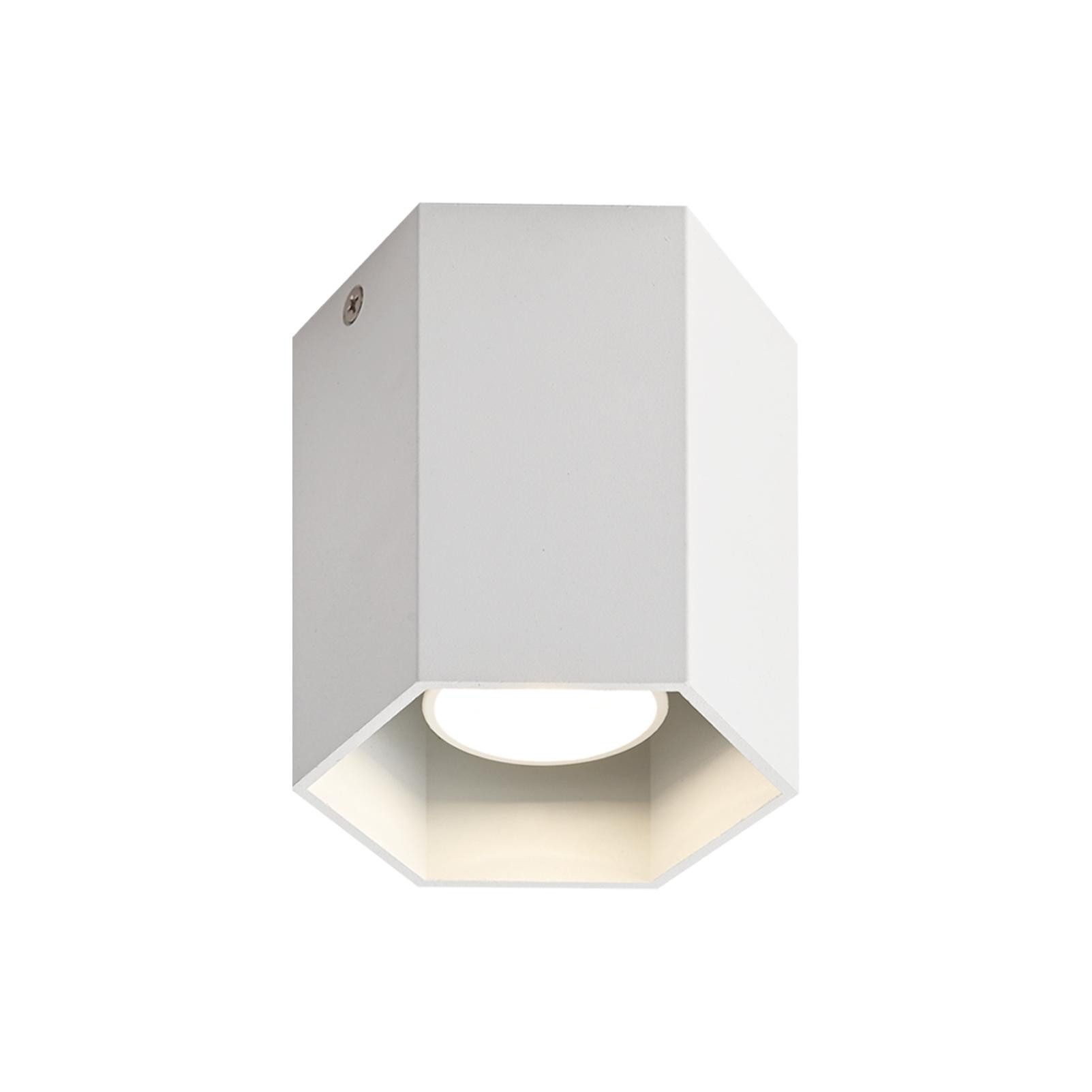 Nettlife Deckenstrahler Weiß Deckenspots GU10 Aufbauspot, LED wechselbar, für Küche Wohnzimmer Esszimmer Korridor Flur