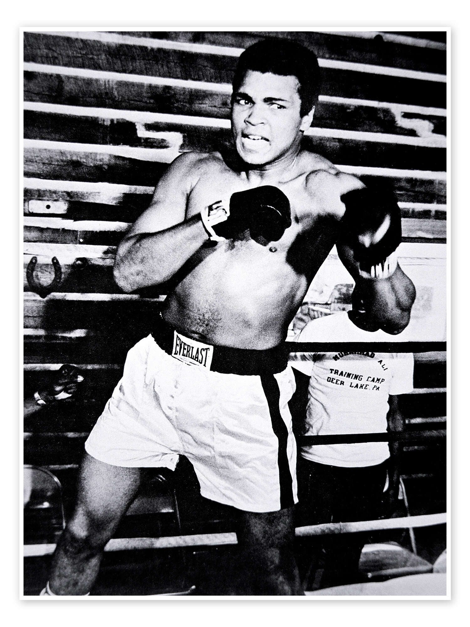 Posterlounge Poster Bridgeman Images, Muhammad Ali, günstig online kaufen
