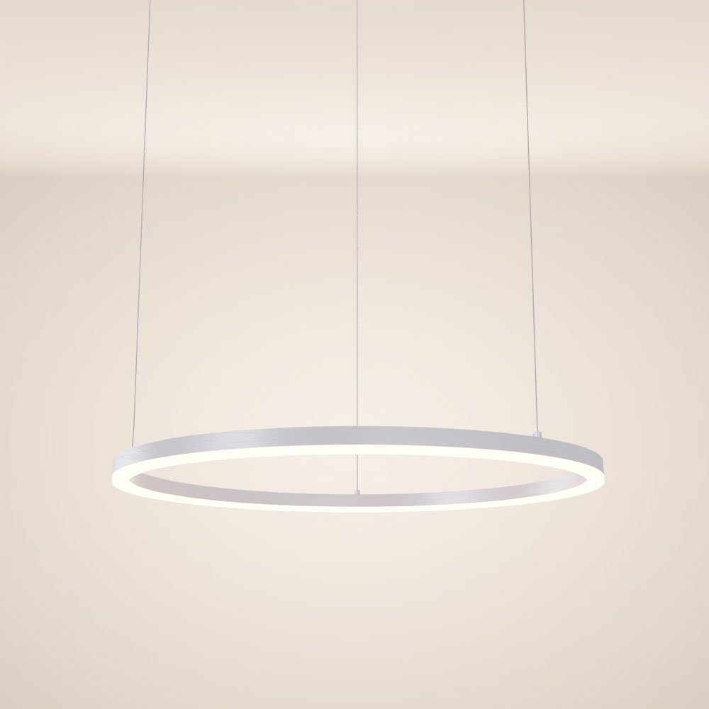 s.luce Pendelleuchte LED Pendellampe Ring 80 5m Aufhängung Weiß, Warmweiß