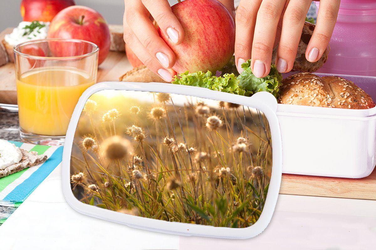 MuchoWow Lunchbox Pflanzen - Natur Mädchen für (2-tlg), - Kunststoff, Horizont, für - und und Brotbox Sonne Jungs Blumen - weiß Brotdose, Erwachsene, Kinder