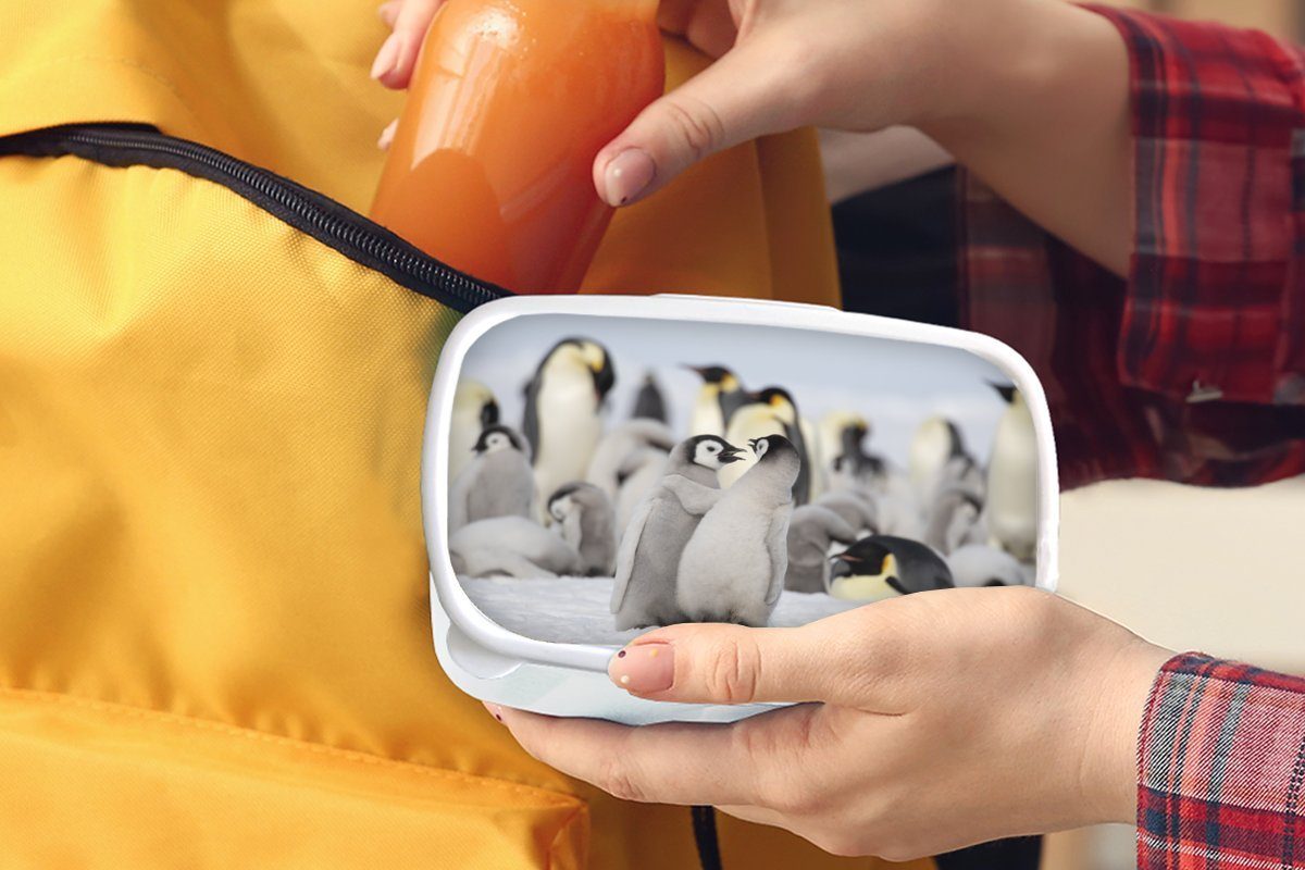 und Pinguine - und weiß Jungs (2-tlg), - Kunststoff, Lunchbox Schnee Mädchen Tiere, Brotdose, für Brotbox Kinder Erwachsene, MuchoWow für