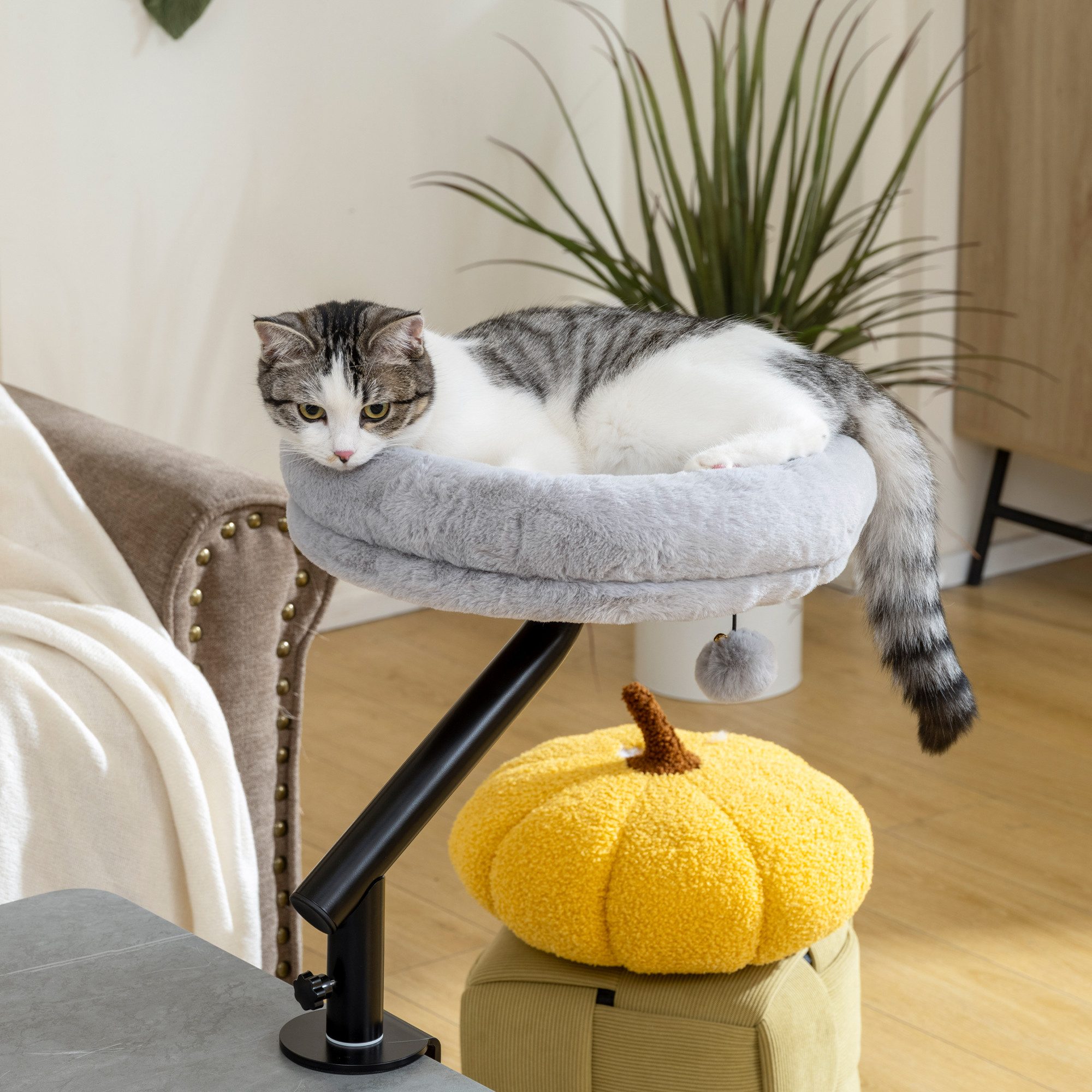 PawHut Tierbett Katzenbett für Schreibtisch mit 360°Drehung, verstellbarer Höhe, Polyester, mit abnehmbarem, maschinenwaschbarem Bett, für Katzen unter 6 kg, Grau