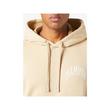 Champion Sweatshirt braun regular fit (1-tlg)