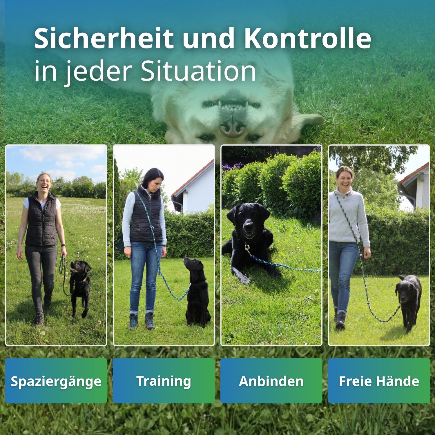 Activity4Dogs Hundeleine große Hunde bis 60 kg, mehrfarbig geflochten, 4-fach verstellbar, 3 m, auch als Doppelleine für 2 Hunde, Premium Qualität aus Deutschla – Bild 5 von 5