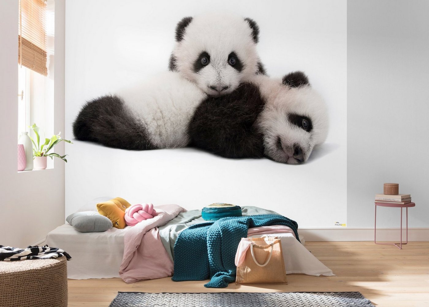 Komar Vliestapete »Giant Panda«, glatt, bedruckt, realistisch, (6 St), 300 x 280 cm (Breite x Höhe) - 6 Bahnen-HomeTrends