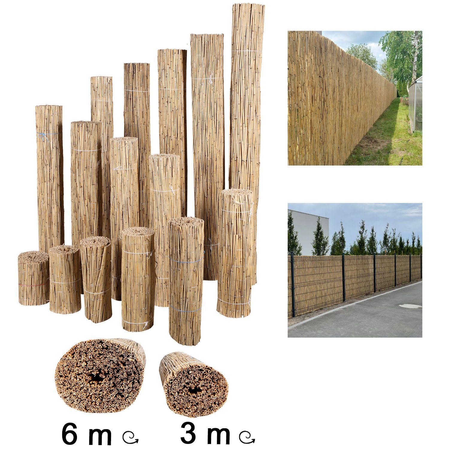 Home4Living Sichtschutzzaunmatten Schilfmatten Sichtschutzmatten 30-200cm H günstig online kaufen