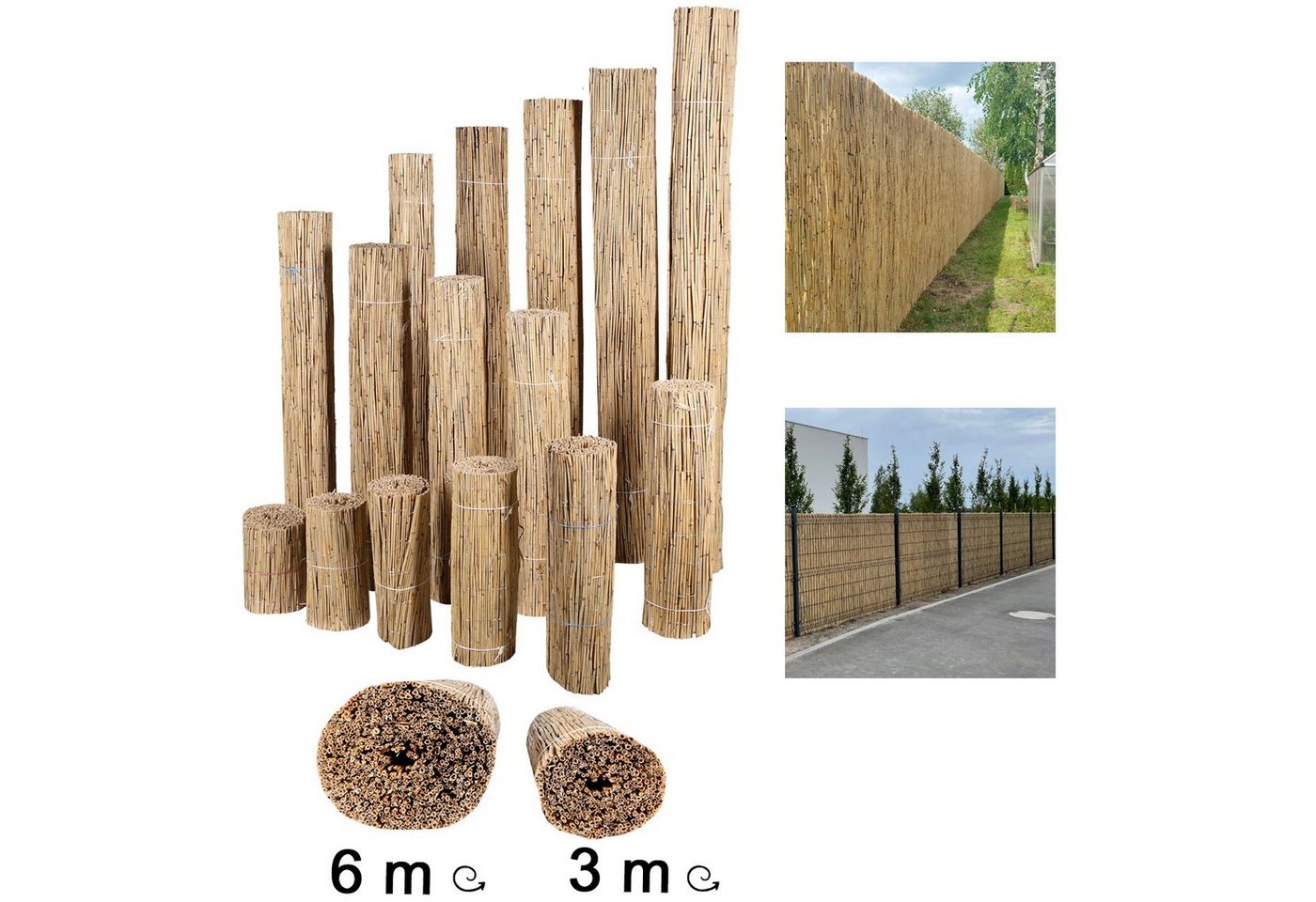 Thumbnail - Home4Living Sichtschutzzaunmatten Schilfmatten Sichtschutzmatten 30-200cm Höhe, 3 u. 6m Länge, Naturprodukt