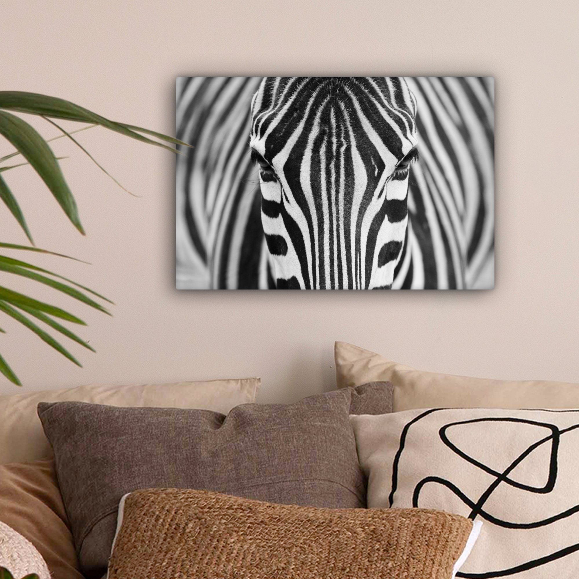 OneMillionCanvasses® Leinwandbild Zebra - Tiere - Schwarz und weiß - Porträ günstig online kaufen