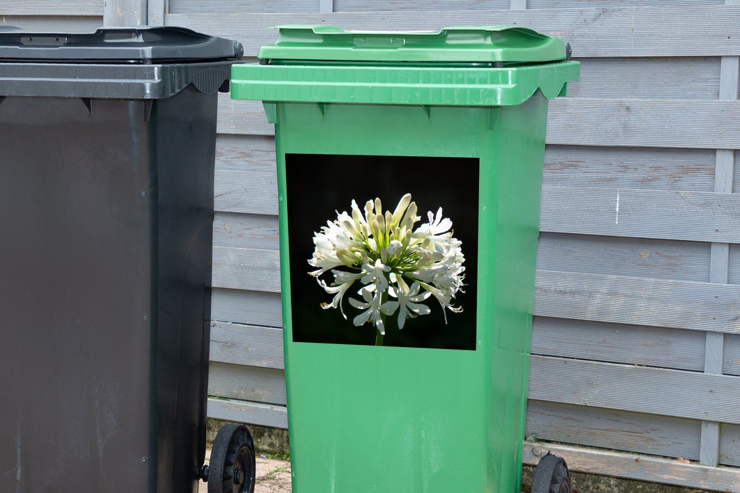 Mülleimer-aufkleber, vor Hintergrund Wandsticker einem (1 Mülltonne, Ein Abfalbehälter Agapanthus weißer blühender Sticker, MuchoWow dunklen St), Container,