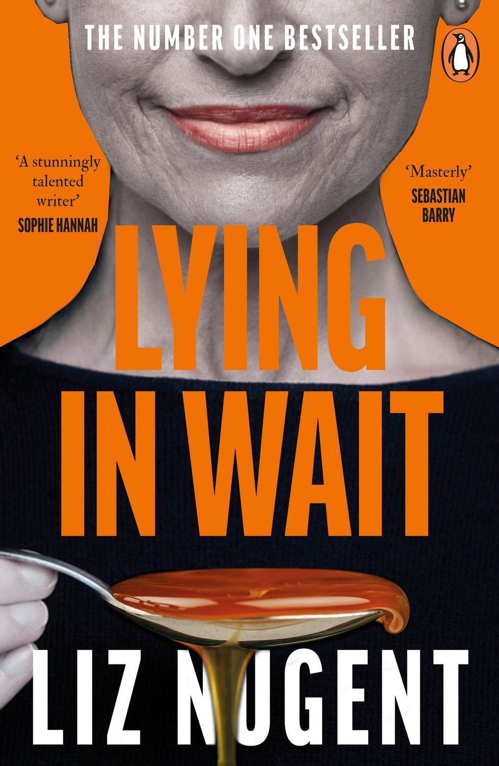 Lying in Wait / Liz Nugent