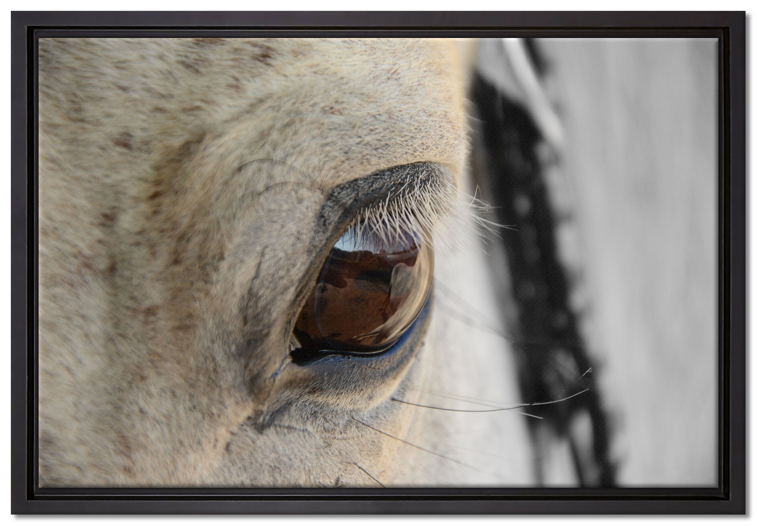 Pixxprint Leinwandbild schöne liebevolle Pferdeaugen, Wanddekoration (1 St), Leinwandbild fertig bespannt, in einem Schattenfugen-Bilderrahmen gefasst, inkl. Zackenaufhänger