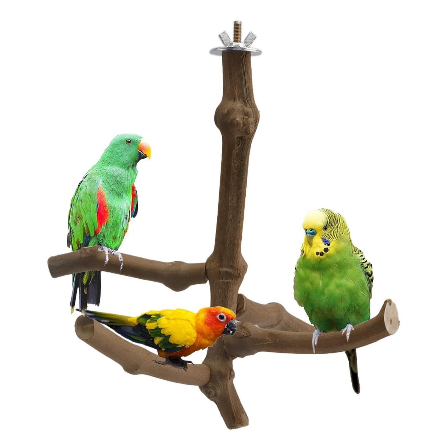 LuxusKollektion Vogelspielplatz 5er Set Wellensittich Spielzeug Weinholz Sitzstangen