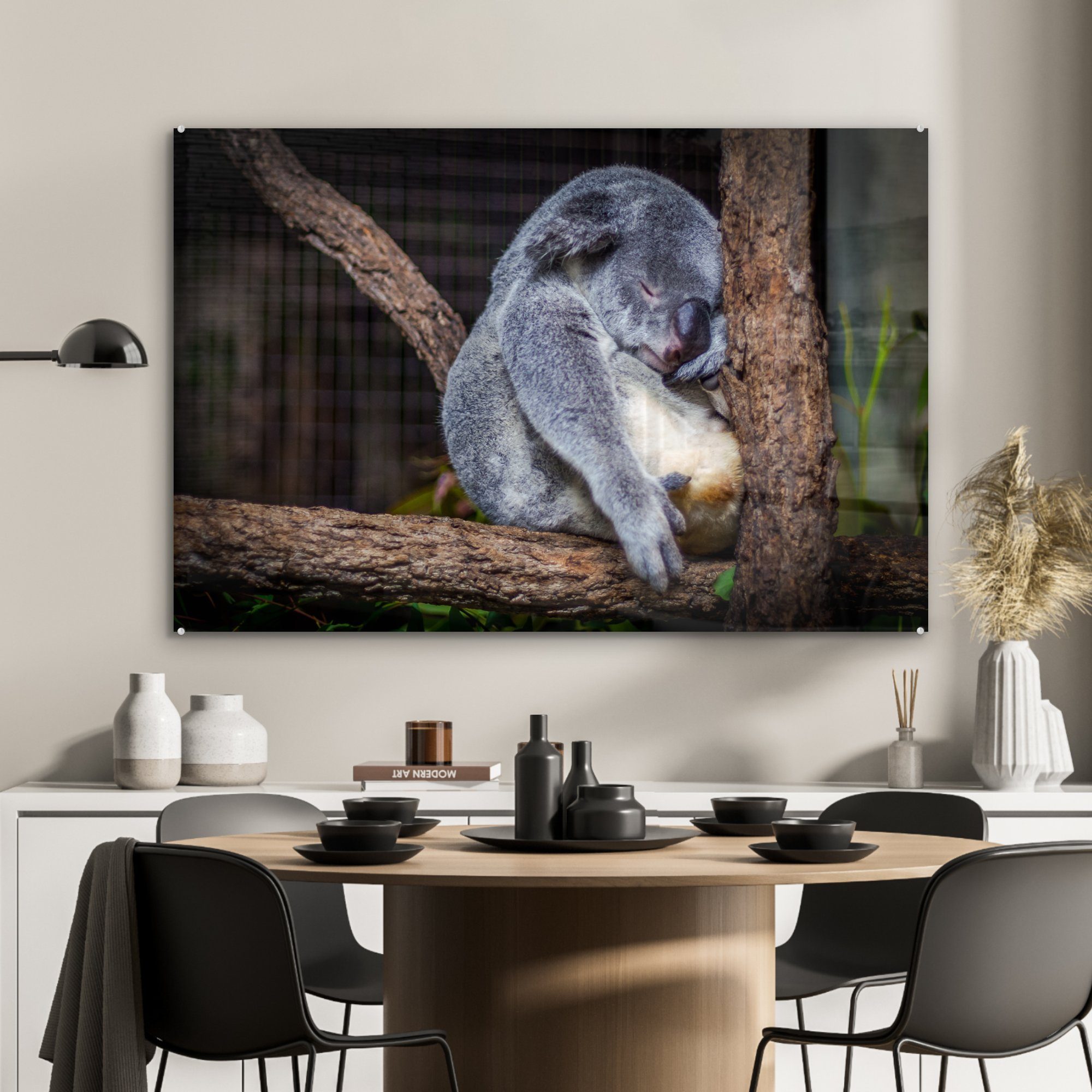 (1 Acrylglasbilder Acrylglasbild - - Schlafzimmer Bumm, & MuchoWow Australien Wohnzimmer St), Koala