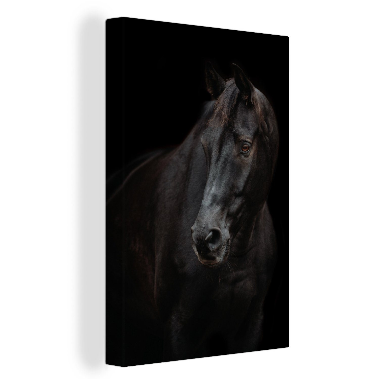 OneMillionCanvasses® Leinwandbild Pferd - Leicht - Schwarz, (1 St), Leinwandbild fertig bespannt inkl. Zackenaufhänger, Gemälde, 20x30 cm