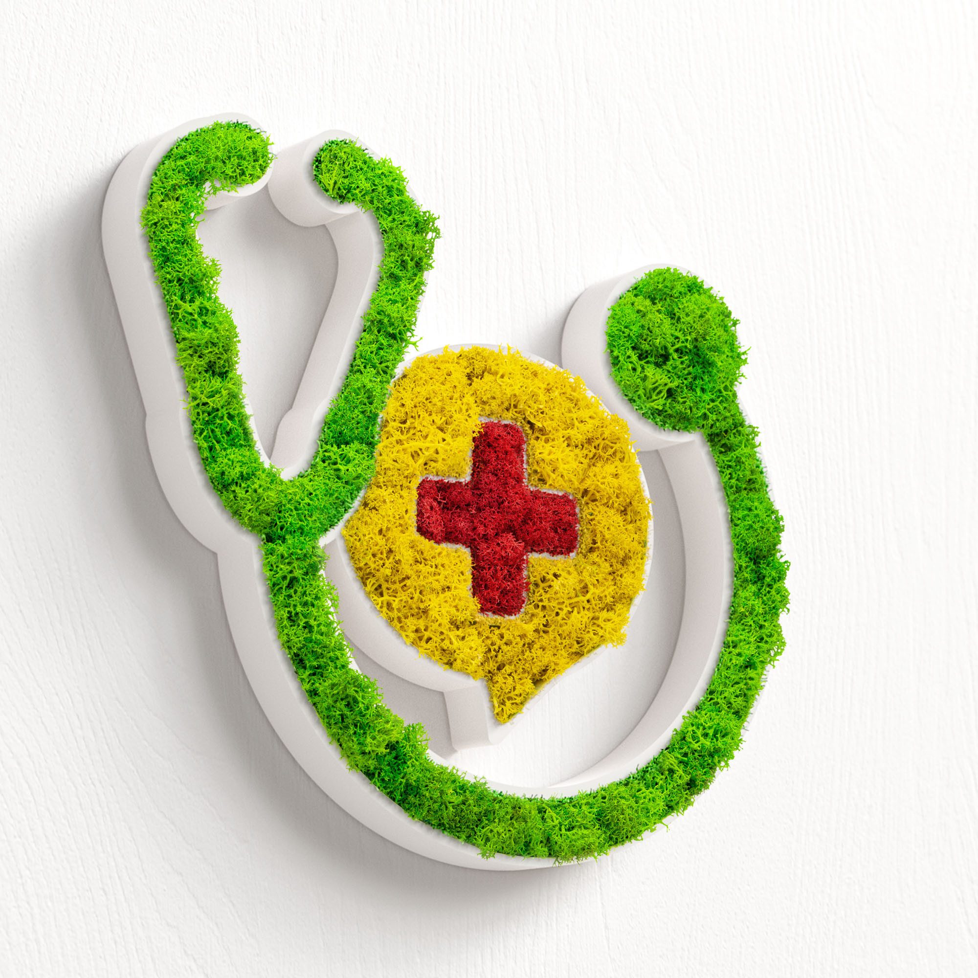 Mooswerk Wanddekoobjekt MOOSWERK Moos-Türschild Piktogramm Arzt, Praxis, Klinik, Islandmoos