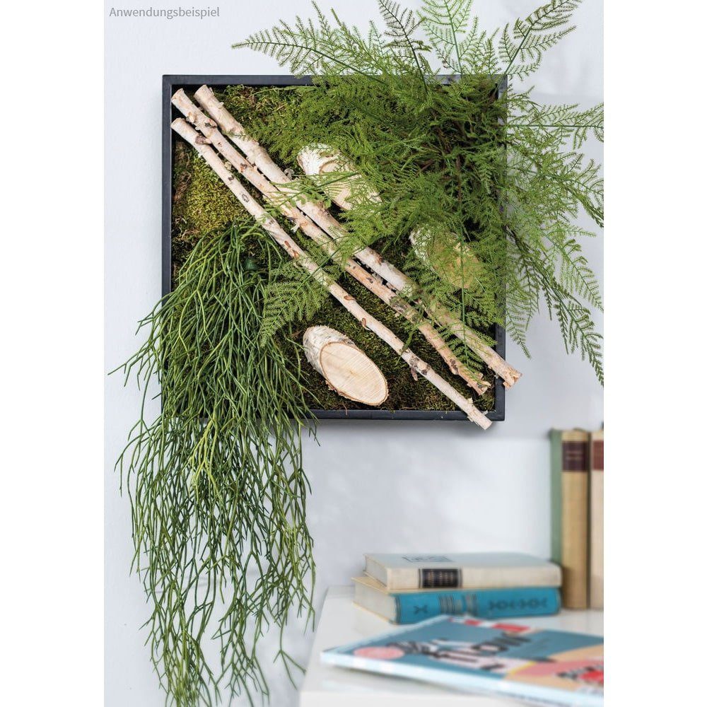 matches21 HOME & HOBBY Dekofigur Holzscheiben günstig online kaufen