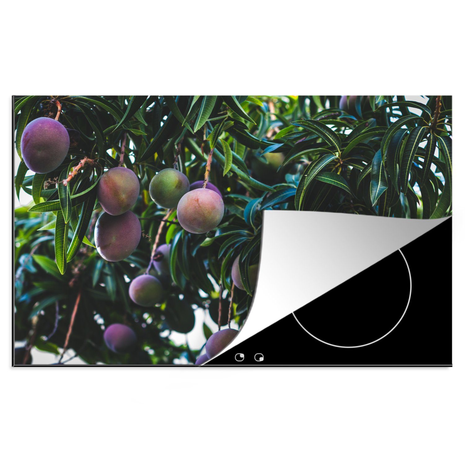MuchoWow Herdblende-/Abdeckplatte Mango - Baum - Lila, Vinyl, (1 tlg), 81x52 cm, Induktionskochfeld Schutz für die küche, Ceranfeldabdeckung