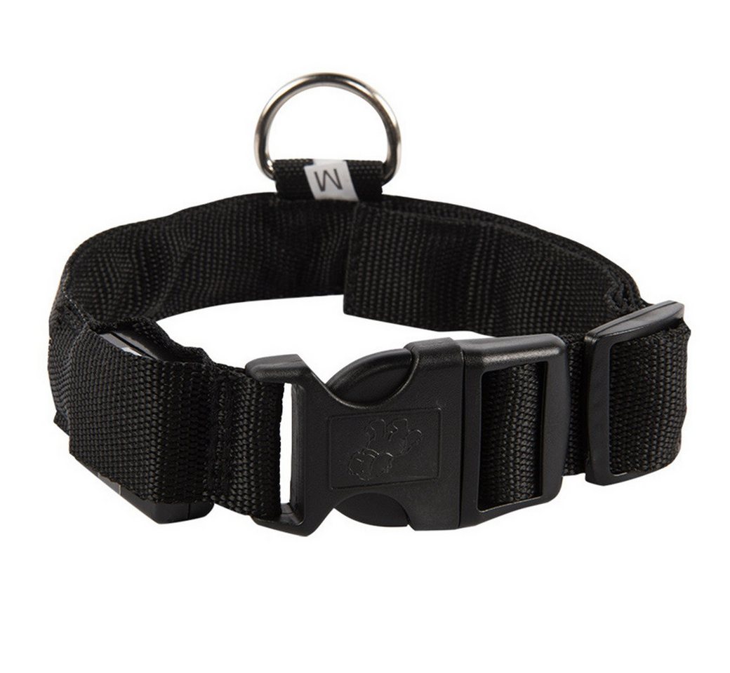 Thumbnail - Kevin Frotscher (FroShop) Hundehalsbandleuchte Hundehalsband Leuchthalsband Hund LED USB Aufladbar, Akku Halsband Farbe ...