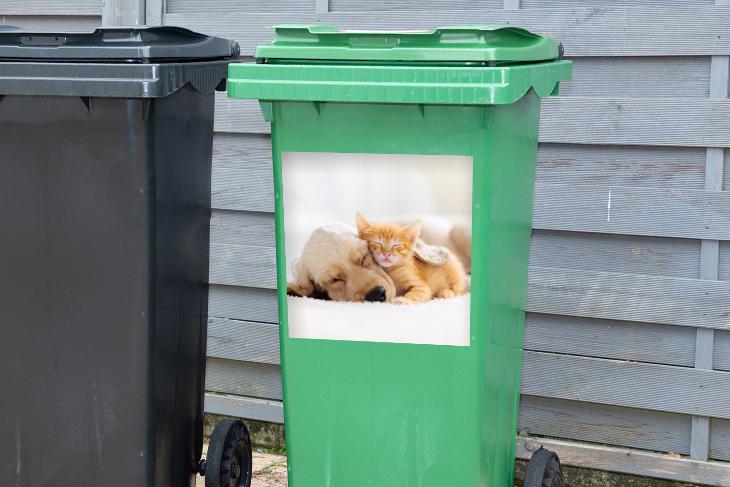 - Mülleimer-aufkleber, Kätzchen Container, Mülltonne, Abfalbehälter (1 Hund St), MuchoWow - Sticker, - Tiere Rot Wandsticker