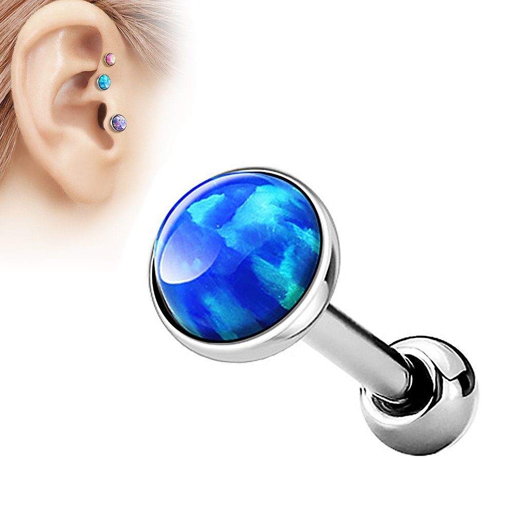 Taffstyle Piercing-Set Tragus Stecker mit flachen günstig online kaufen