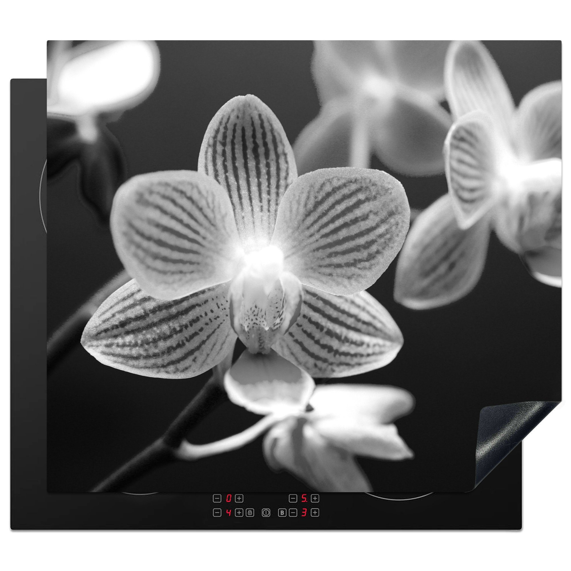 cm, die MuchoWow Induktionsmatte Herdblende-/Abdeckplatte Orchideenblüte - und Ceranfeldabdeckung 59x52 weiß, küche, Vinyl, tlg), für schwarz (1
