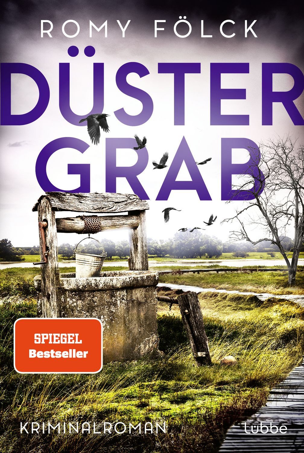 Düstergrab / Romy Fölck, Kriminalroman. Atmosphärische Spannung aus Norddeutschland: Band 6 der SPIEGEL-Bestsellerserie, SPIEGEL-Bestseller