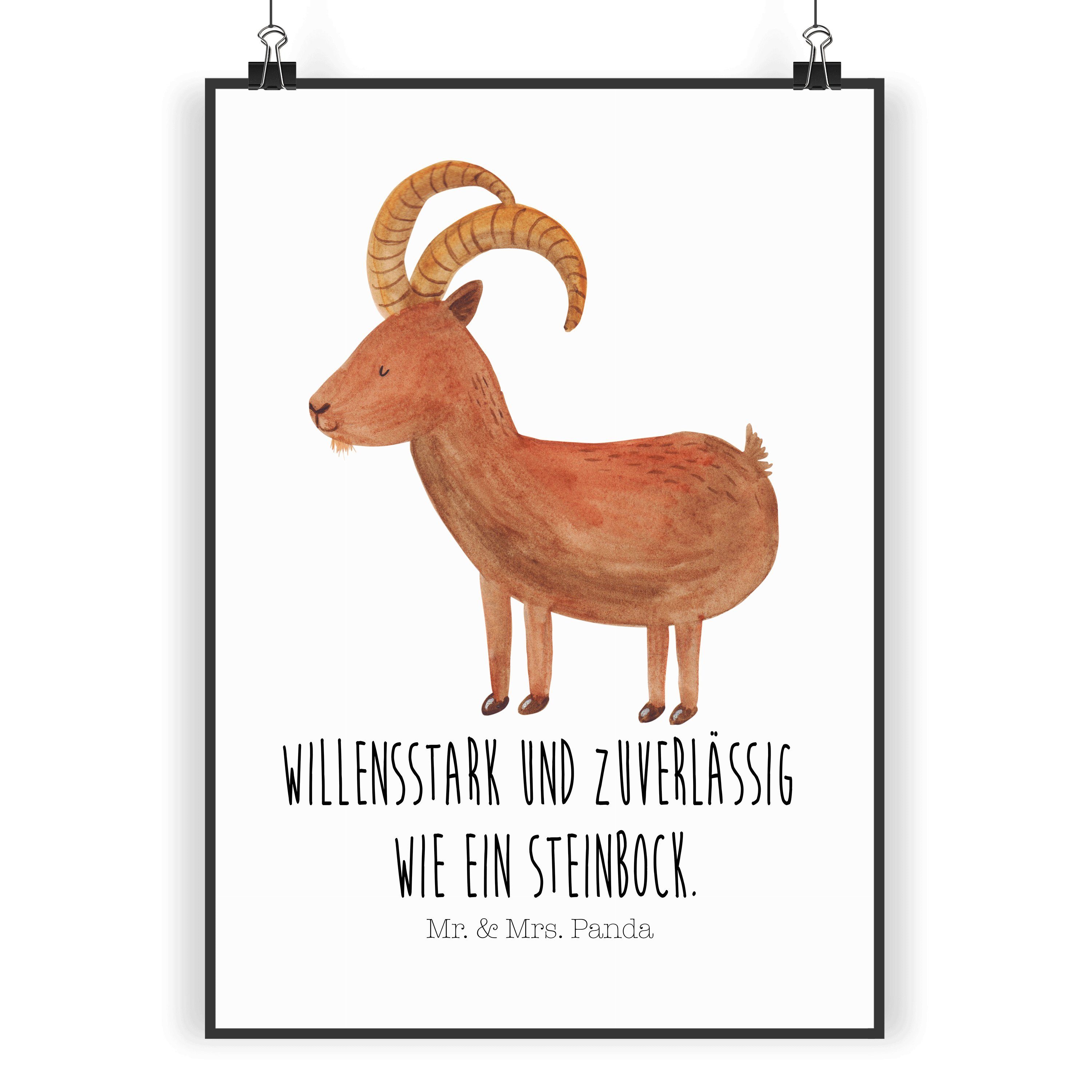Mr. & Mrs. Panda Poster »Sternzeichen Steinbock Weiß