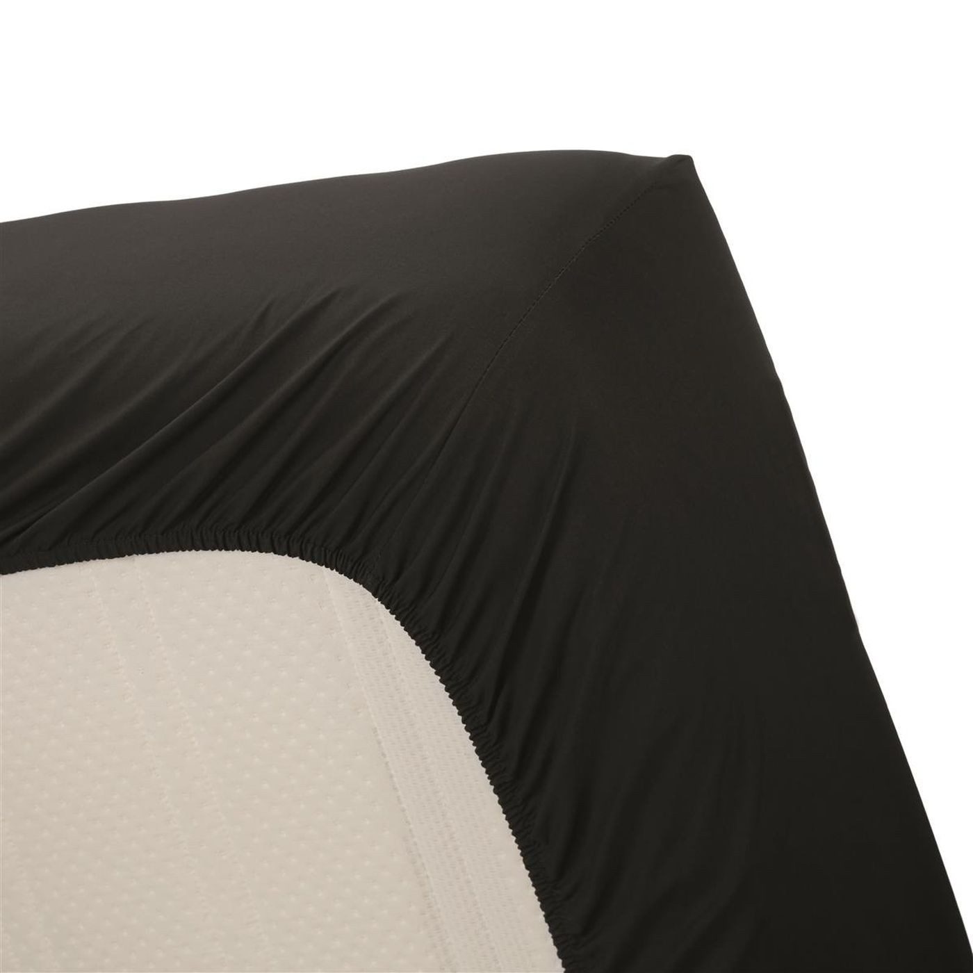 Ambiante Spannbettlaken Cotton Uni HL_Black_UV_UV_90x220 1 günstig online kaufen