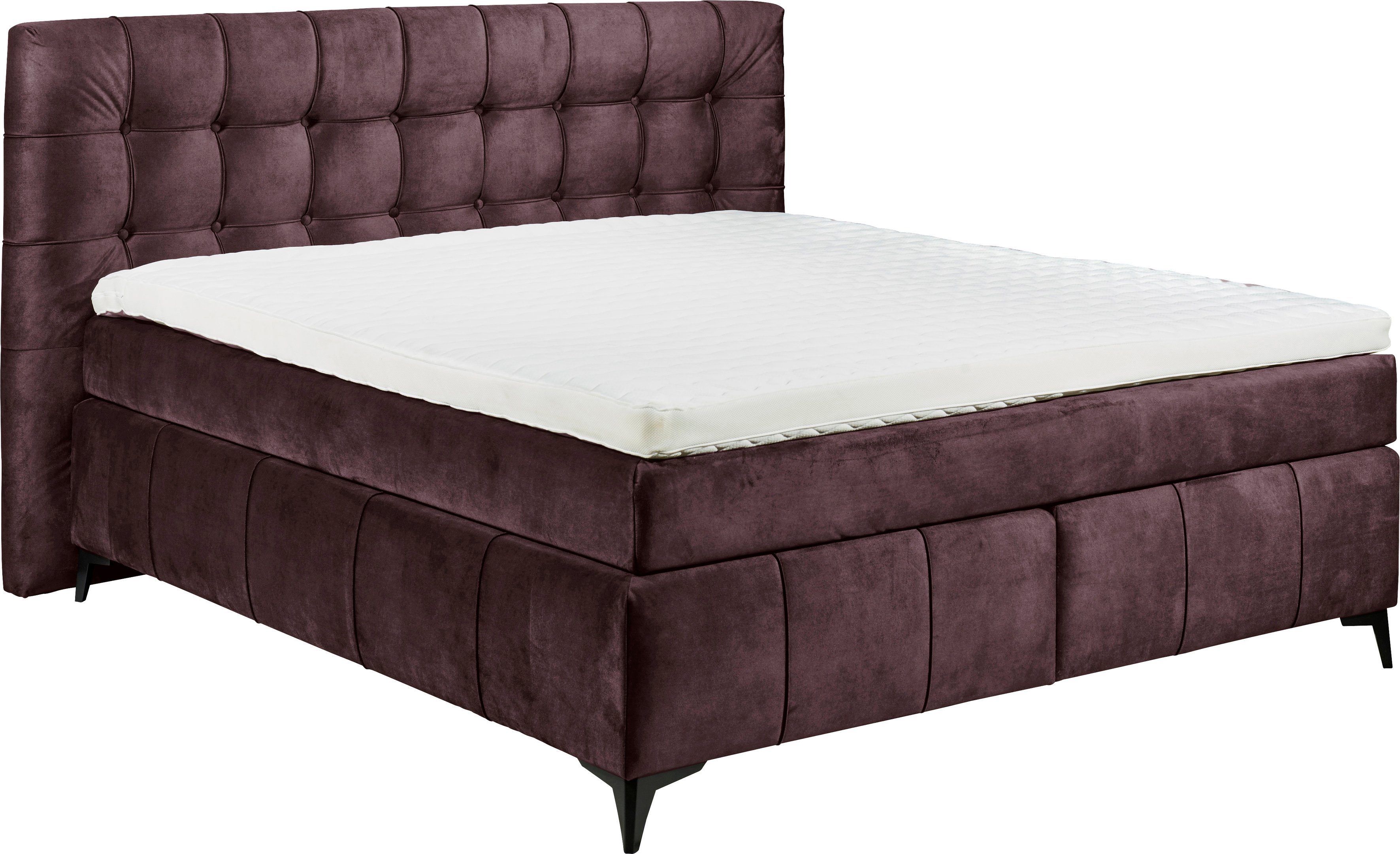 ED EXCITING DESIGN Kokosmatte, aubergine Duo-Matratze Oregon, Boxspringbett Filzabdeckung inkl. 