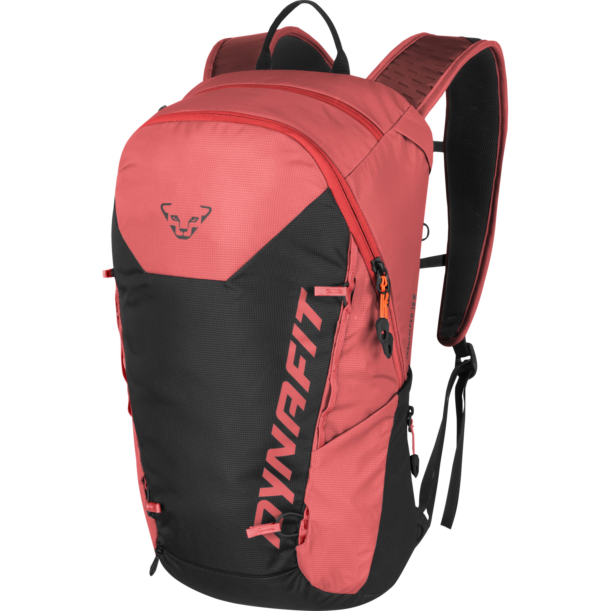 Dynafit Hüftgürtel TRANSALPER 16 BACKPACK W CABANA/BLACK OUT