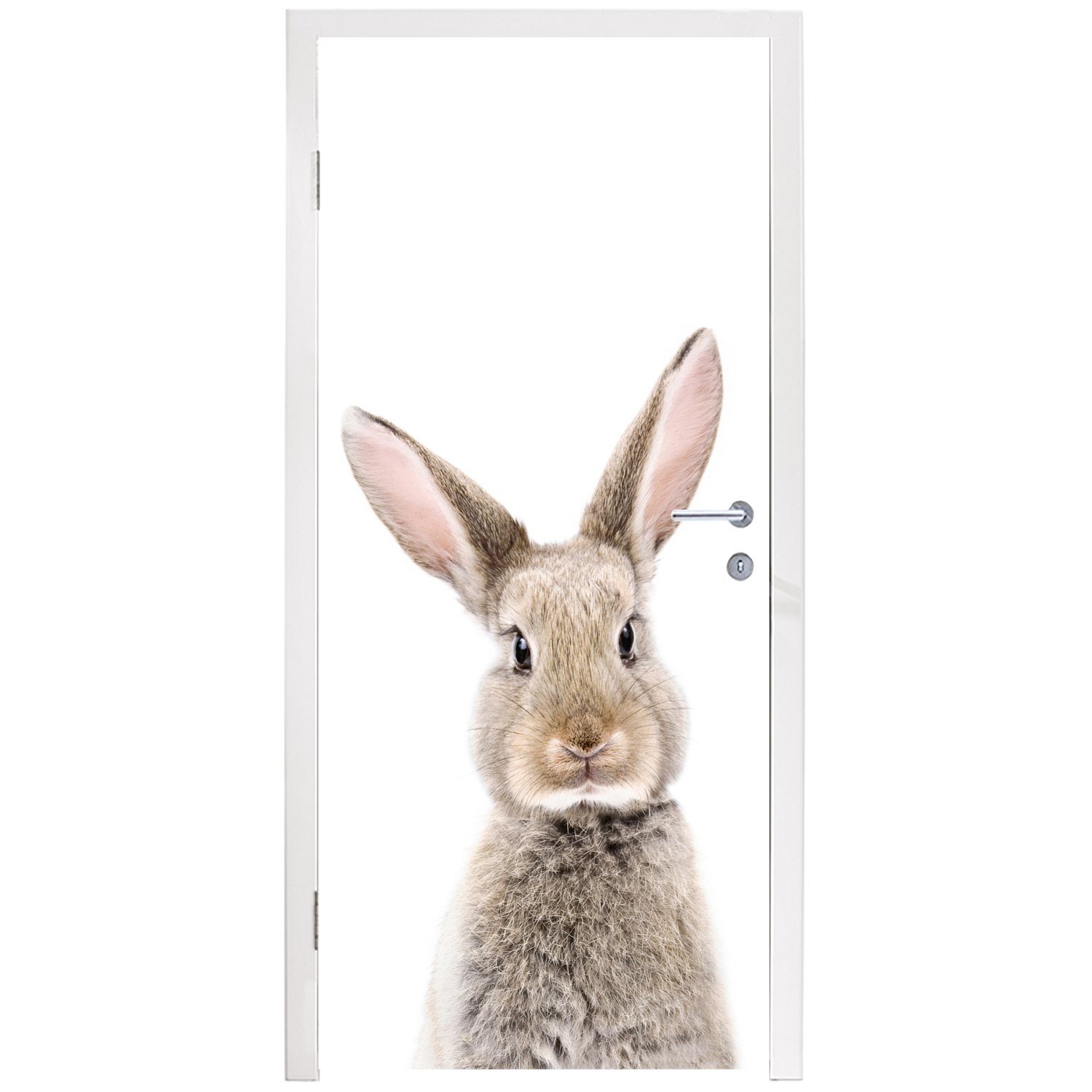 Natur - Tiere Türtapete Kaninchen Türaufkleber, Tür, St), Braun, MuchoWow cm für - Matt, 75x205 - (1 bedruckt, Fototapete